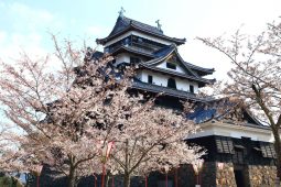 Shimane castle. Shimane: Myth and Mountains