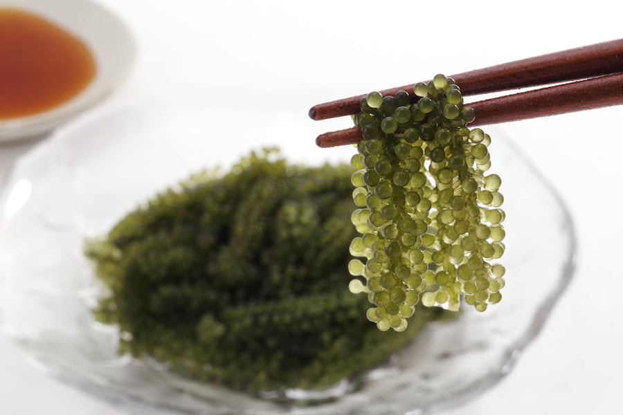 What is Nori? A look at Japan's favorite seaweed.